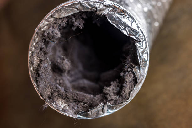 Best HVAC System Cleaning  in Cherry Creek, CO